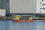 Dcim1536/DSC_4233