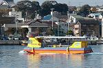 Dcim1536/DSC_4238