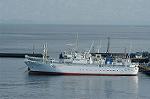 Dcim1536/DSC_4242