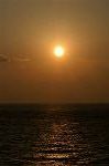 Dcim1536/DSC_4274