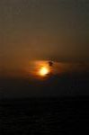 Dcim1536/DSC_4283