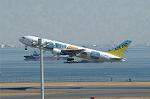 Dcim1537/DSC_4303