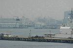 Dcim1554/DSC_6010