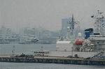 Dcim1554/DSC_6012