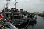 Dcim1555/DSC_6184
