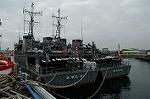 Dcim1555/DSC_6196
