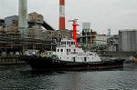 Dcim1556/DSC_6223