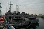 Dcim1556/DSC_6335