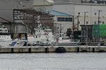 Dcim1558/DSC_6526