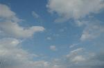 Dcim1558/DSC_6542