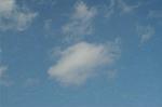 Dcim1558/DSC_6550