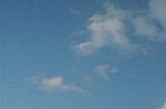 Dcim1558/DSC_6559