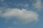 Dcim1558/DSC_6563