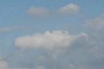 Dcim1558/DSC_6568