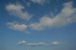 Dcim1558/DSC_6571