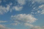 Dcim1576/DSC_6155