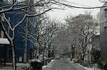 Dcim1581/DSC_6374