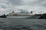 Dcim1582/DSC_6531