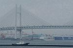 Dcim1583/DSC_8196