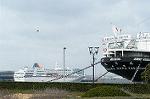 Dcim1583/DSC_8266