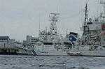 Dcim1583/DSC_8296