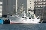 Dcim1613/DSC_8701