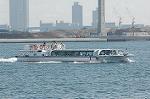Dcim1613/DSC_8725