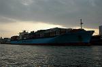 Dcim1623/DSC_9619