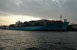 Dcim1623/DSC_9620