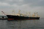 Dcim1623/DSC_9635