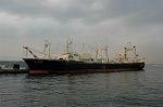 Dcim1623/DSC_9636