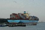 Dcim1626/DSC_9255