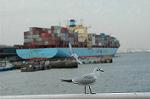 Dcim1626/DSC_9256