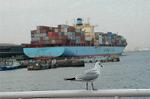 Dcim1626/DSC_9258