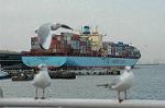 Dcim1626/DSC_9260