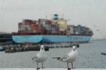 Dcim1626/DSC_9261