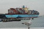 Dcim1626/DSC_9262