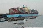 Dcim1626/DSC_9264