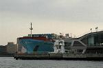 Dcim1626/DSC_9320