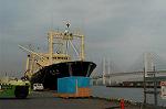 Dcim1626/DSC_9337