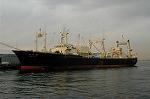 Dcim1626/DSC_9351