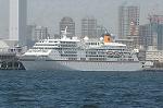 Dcim1647/DSC_1298