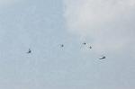 Dcim1662/DSC_2526