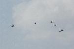 Dcim1662/DSC_2527