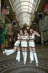 Dcim1677/DSC_3530