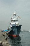 Dcim1688/DSC_4427