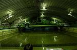 Dcim1696/DSC_5296