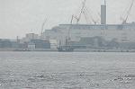 Dcim1702/DSC_5621