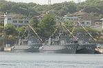 Dcim1711/DSC_6124