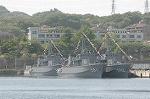 Dcim1711/DSC_6145